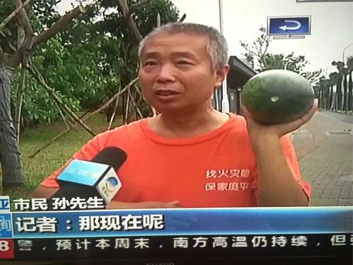 吃瓜网热门事件红领巾