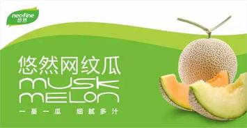 吃瓜协会最新官网,揭秘娱乐圈幕后故事