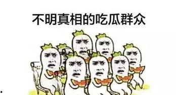 网红吃瓜群众网站是什么