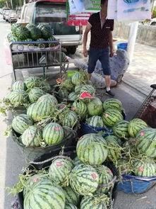 微山吃瓜网红事件,揭秘网络舆论的风暴与反思