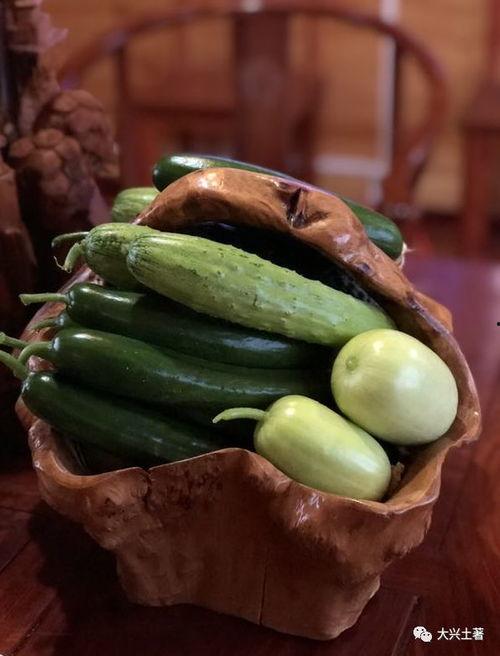 网红s弯吃瓜,揭秘娱乐圈背后的秘密与真相