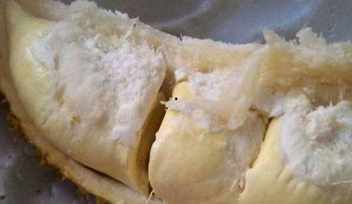 网红瓜哪里吃美食最多